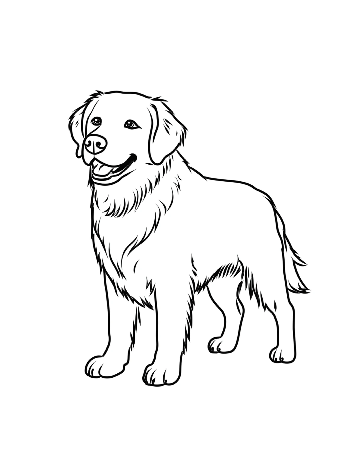 Friendly retriever standing calmly, black-and-white coloring page from Adorable Dogs To Color