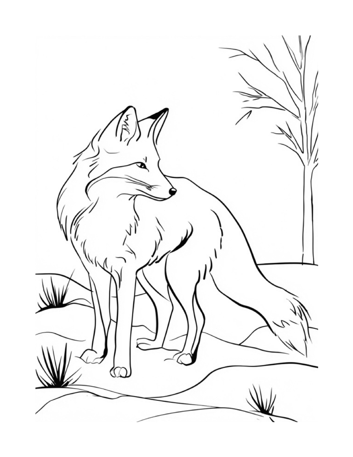 Fox standing alert among trees and rocks, black-and-white coloring page from Relaxing Woodland Animals to Color