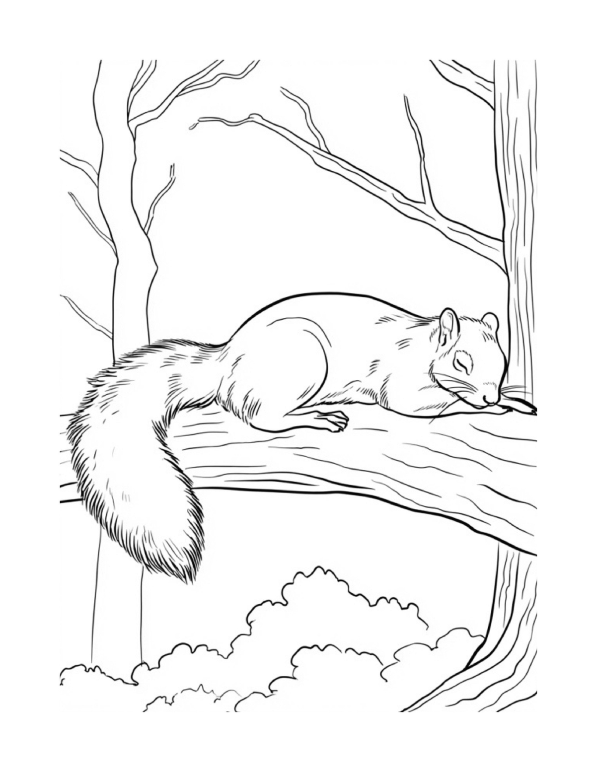 Squirrel stretched along a tree branch, black-and-white coloring page from Relaxing Woodland Animals to Color